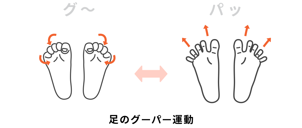 足のグーパー運動
