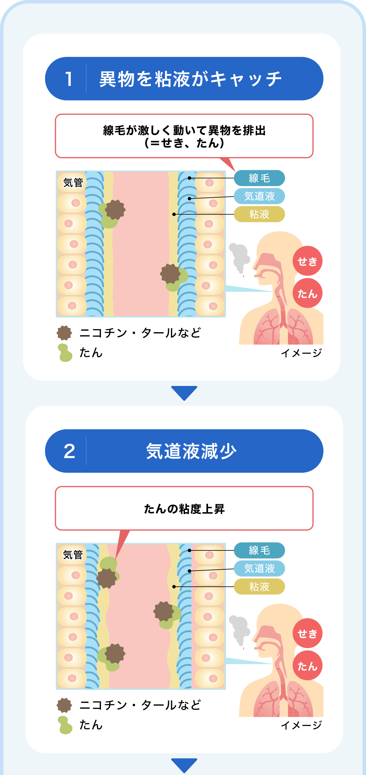 異物を粘液がキャッチ→気道液減少→