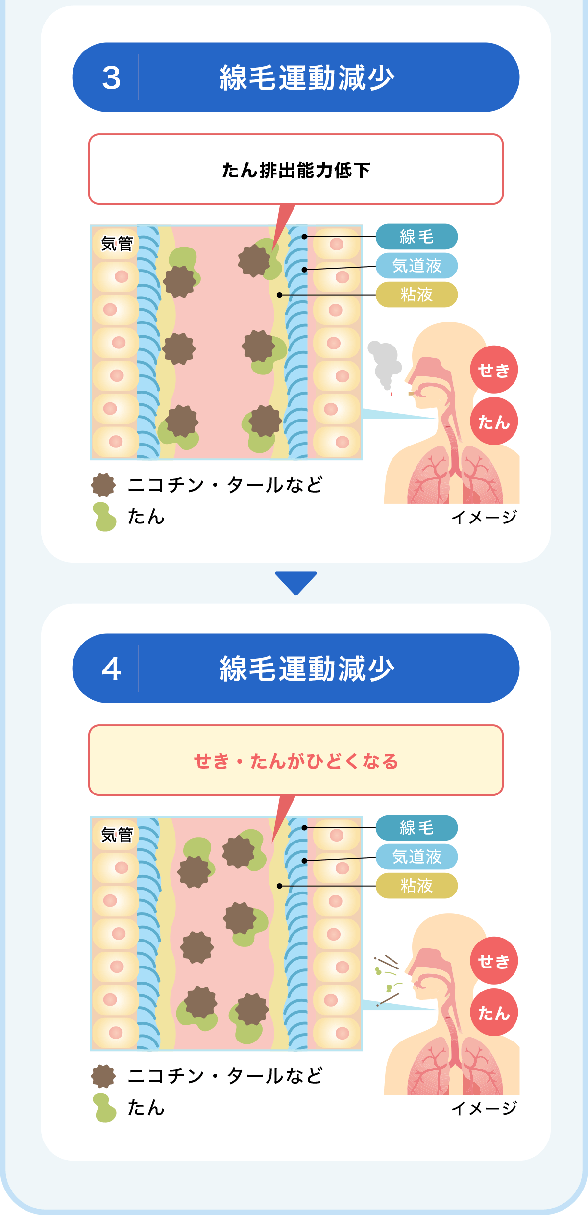 線毛運動減少→