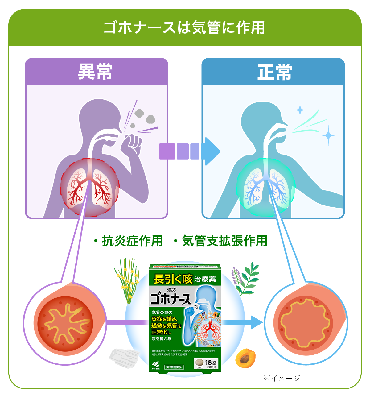小林製薬の「ゴホナース」